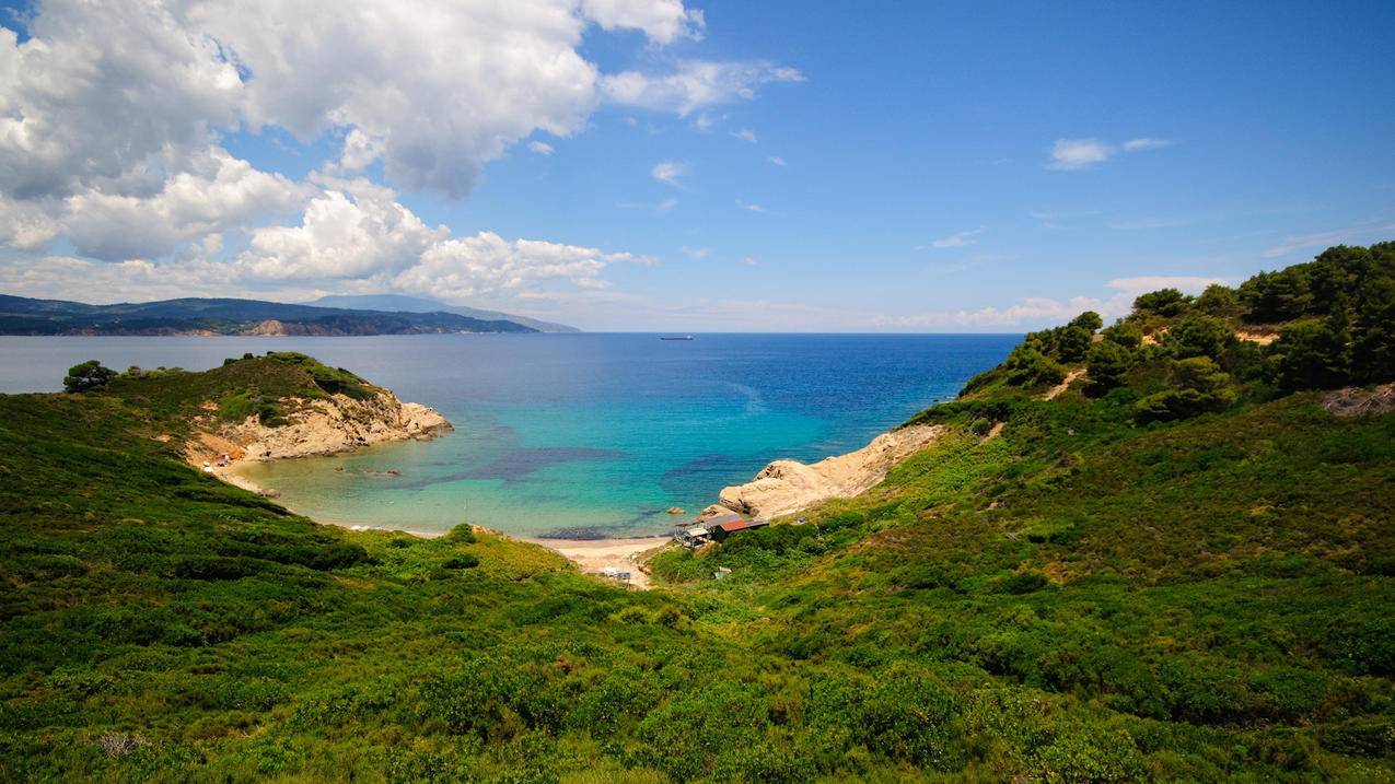 网红商城